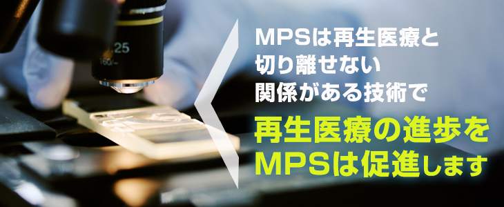 MPSと再生医療の想定される関係性